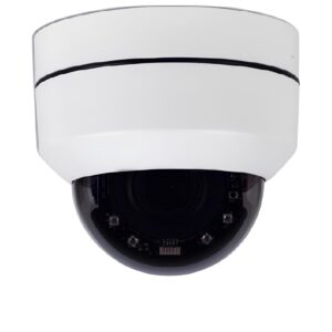 WF230P Dome camera
